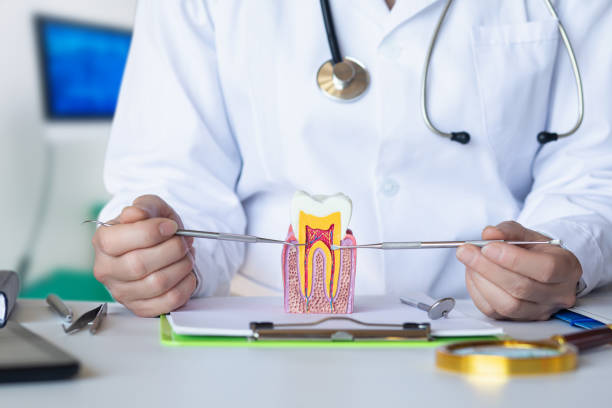 Best Broken or Cracked Tooth Emergency Dentist in Oli, PA